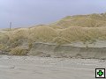 thn_Steward Island 023.jpg